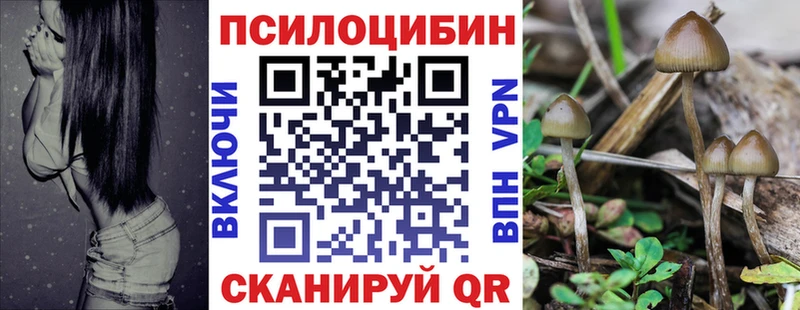 где купить наркоту  blacksprut зеркало  Псилоцибиновые грибы прущие грибы  Кинешма 