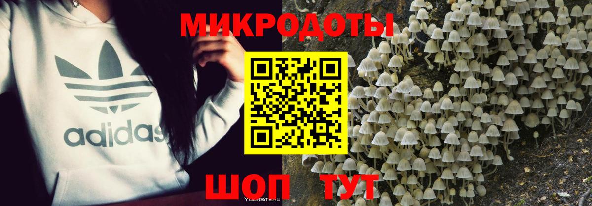 Псилоцибиновые грибы Cubensis  Галлюциногенные грибы мухоморы  Вход с VPN  Кинешма 
